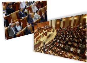statut parlamentari votat